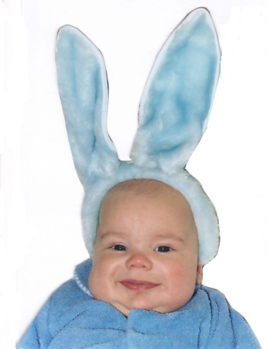 bunny-ears.jpg