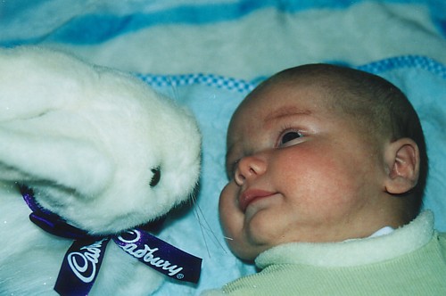 cadbury-bunny.jpg